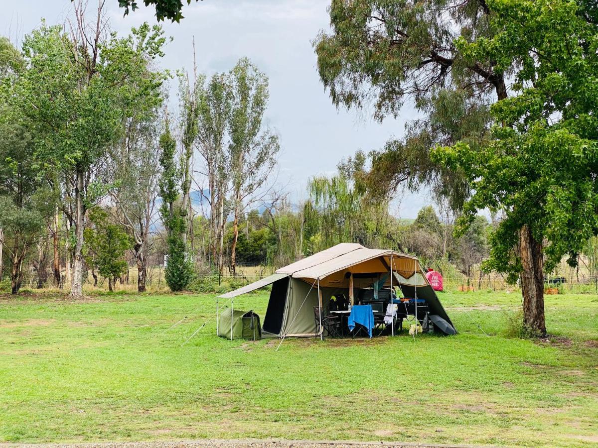 Corryong Caravan Park Formally Mt Mittamatite Caravan Park Extérieur photo